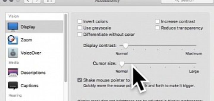 How to toggle the mouse pointer zoom on or off