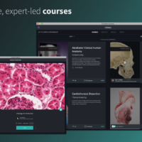 Complete anatomy video lectures