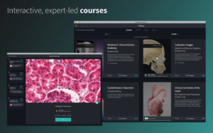 Complete anatomy video lectures